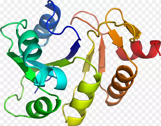 �����鱦������.���-������