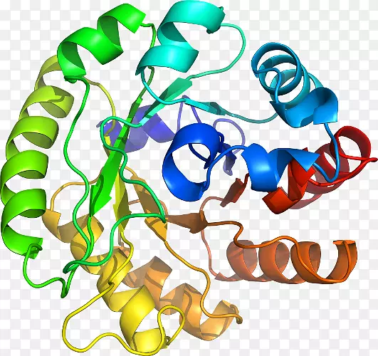 �����鱦���л����������-������