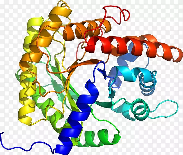 ���������л����߼�������-������