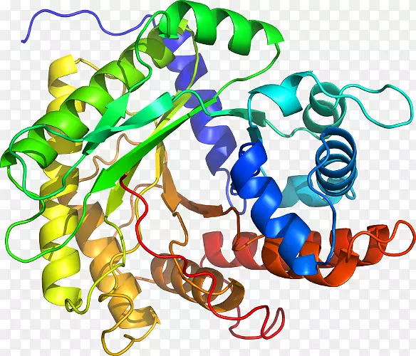 ���������л����߼�������-������