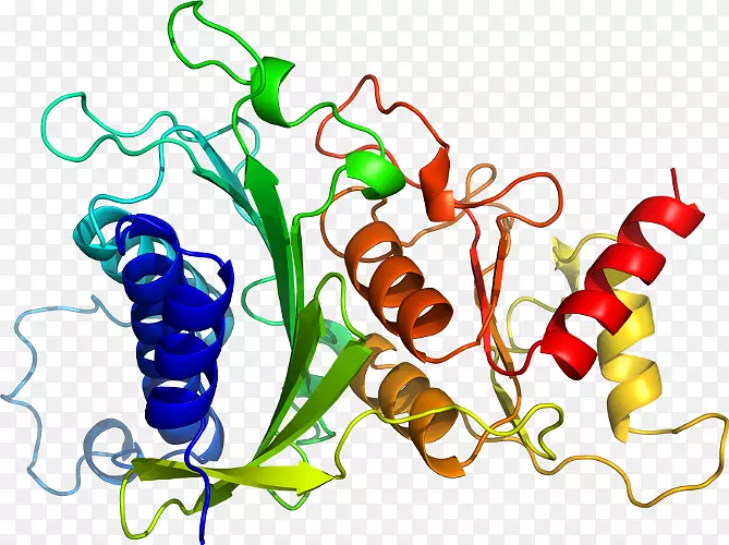 �߲��л���ϵ�м�����-�߲�-������