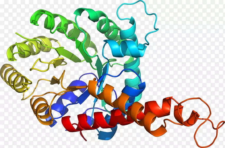 ƽ����Ƽ�����.���-������