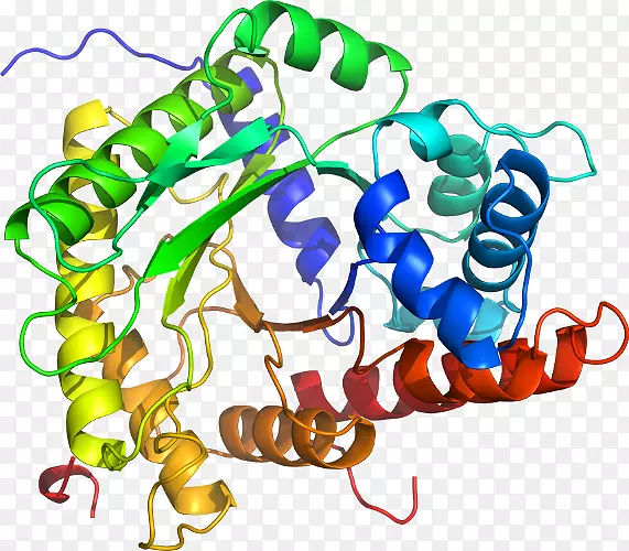 ���������л����߼�������-������