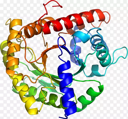 ���������л����߼�������-������