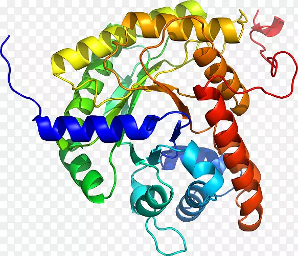 ���������л����߼�������-������