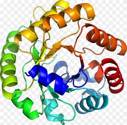 ���������л����߼�������-������