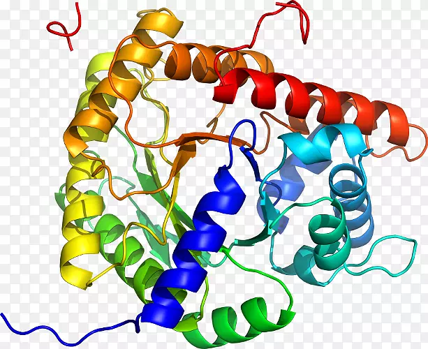 ���������л����߼�������-������