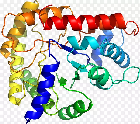 ���������л����߼�������-������