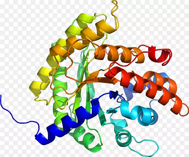 ���������л����߼�������-������