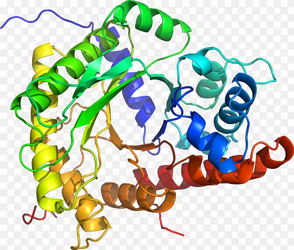 ���������л����߼�������-������