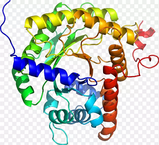 ���������л����߼�������-������