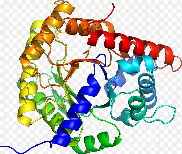 �����鱦�л��������.�鱦-������