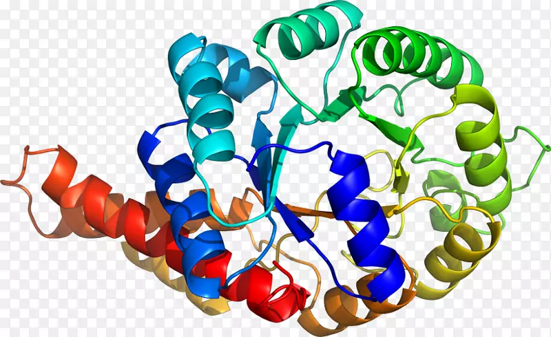 �л��������-������