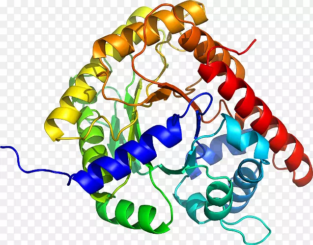 �����鱦�л��������.�鱦-������