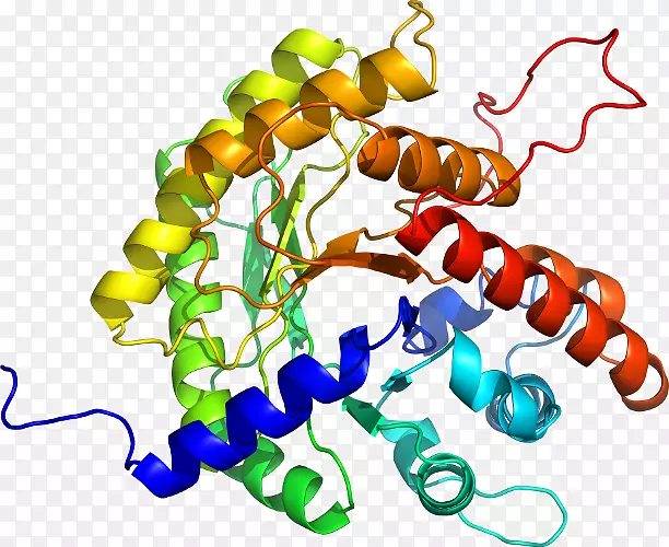 ���������л����߼�������-������