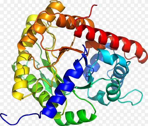 �����鱦�л��������.�鱦-������