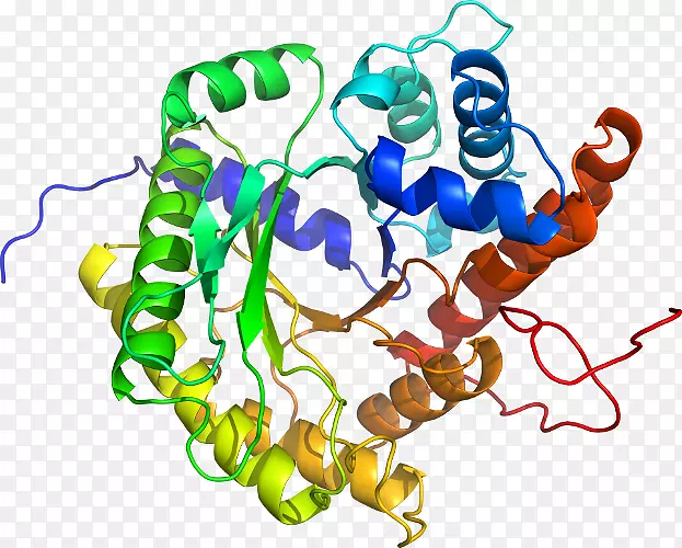 ���������鱦�л����߼�������-������