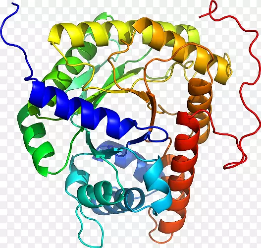 ���������鱦�л�����������鱦����-������