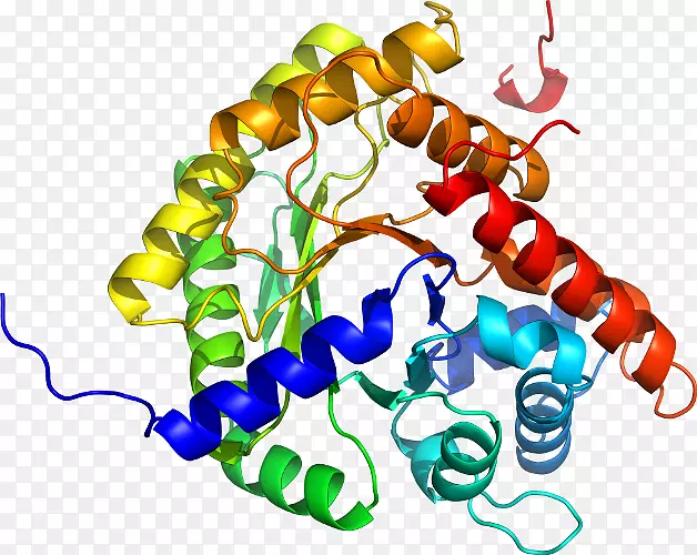 �����鱦�л��������.�鱦-������