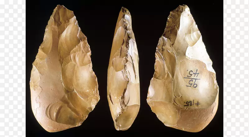 ʷǰ�������ָ���ʯ��-������