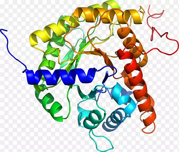 ���������л����߼�������-������