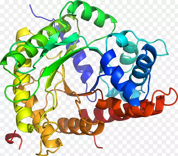 ���������л����߼�������-������