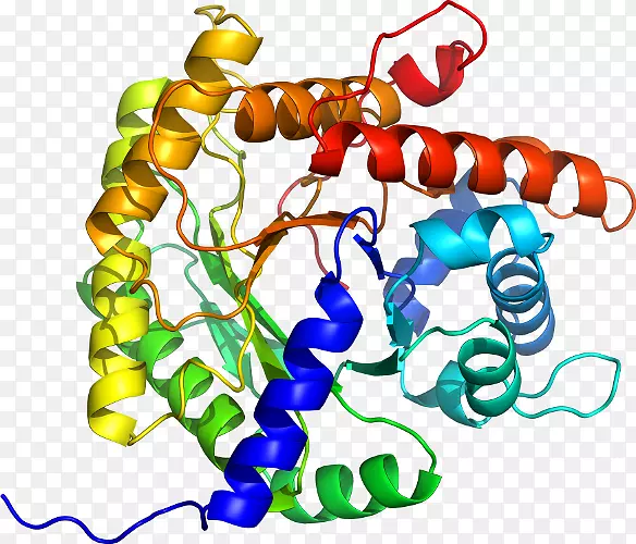 ���������л����߼�������-������