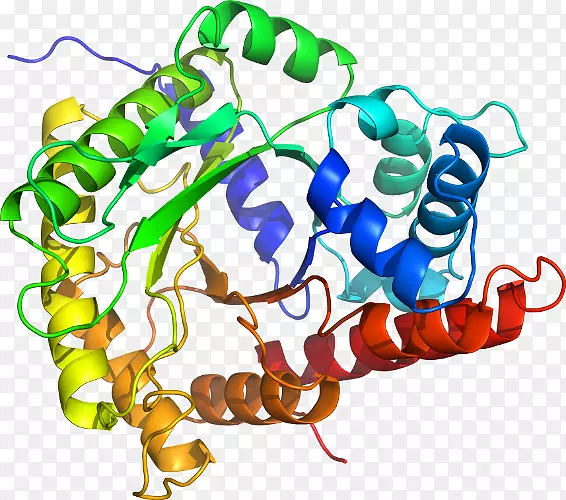 ���������鱦�л����߼�������-������