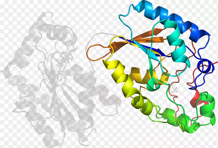 ���߼�����-��-������