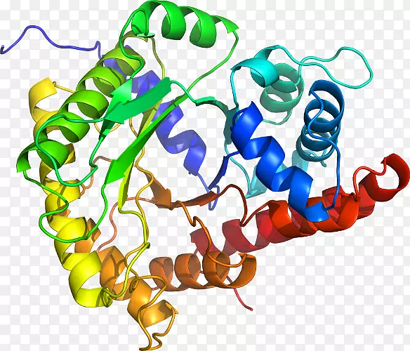 �����鱦�л��������.�鱦-������