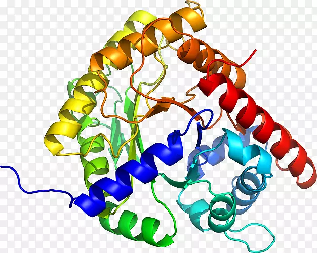 ���������л����߼�������-������