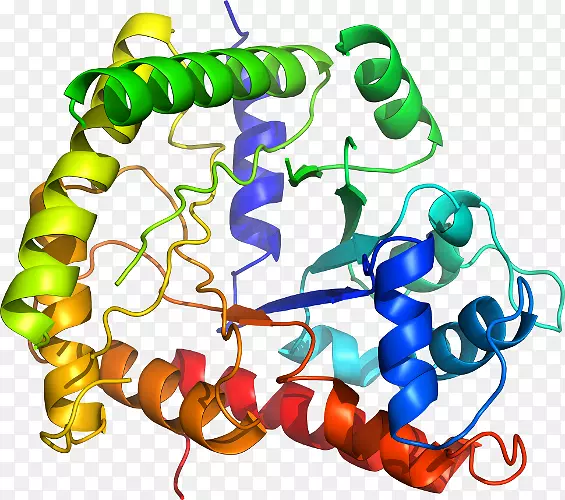 �ߵ������������-������