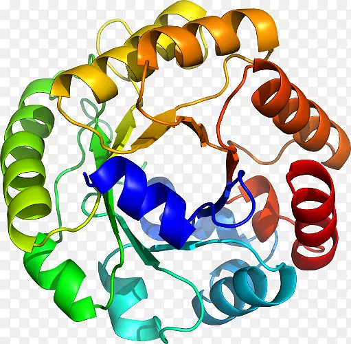 ���������л����߼�������-������