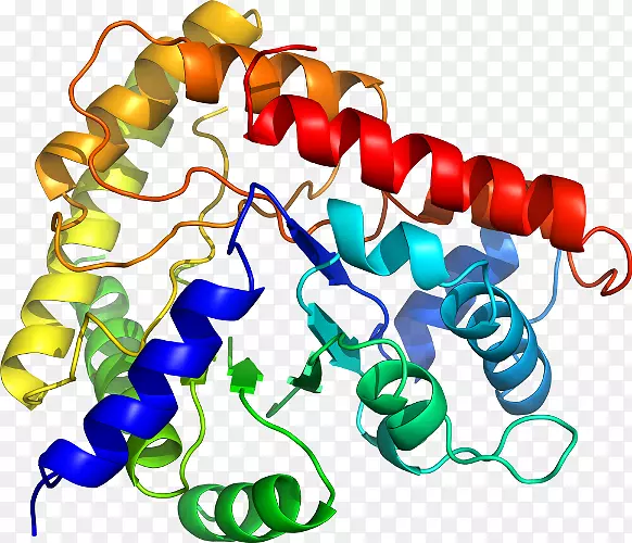 ���������л����߼�������-������