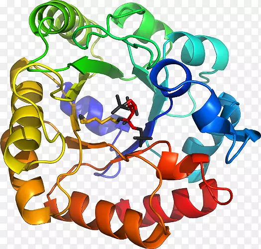 �����߶����������-������