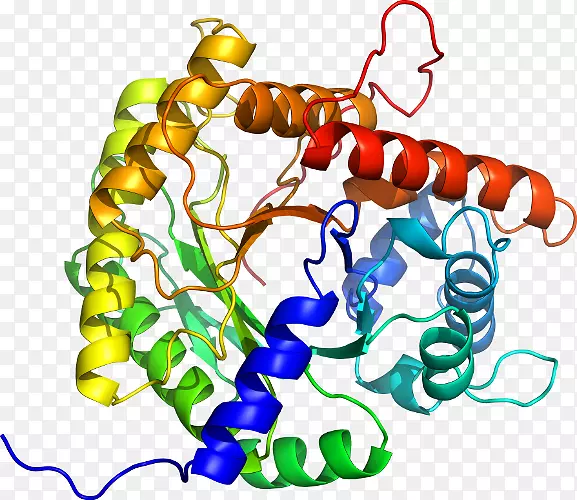���������鱦�л����߼�������-������
