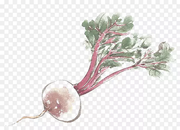 �߲˺��ܲ��;�.�ֻ���ܲ�-������