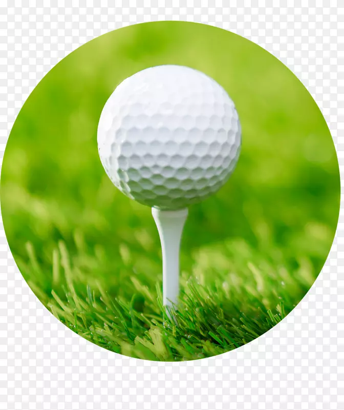 �߶���������ŮʽӢ������ʽ�߶�����-�߶���-������