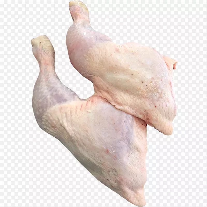 ��������Ϊʳ��-������