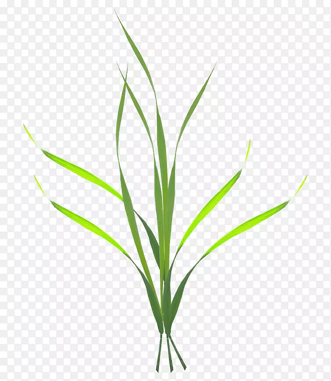 �ݼ�����-��-������