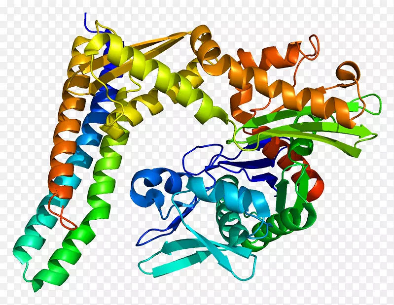 ���������л����߼�������-������