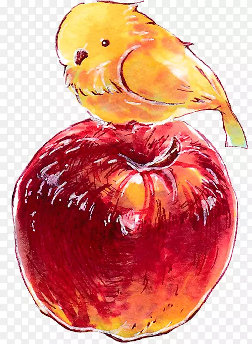 ��ʯħ��ƻ����׿-ƻ��-������