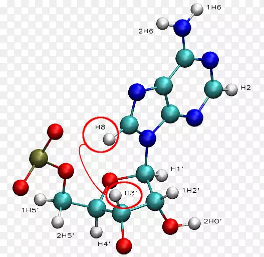 ��ѧʥ����Ʒ-ʥ����Ʒ-������