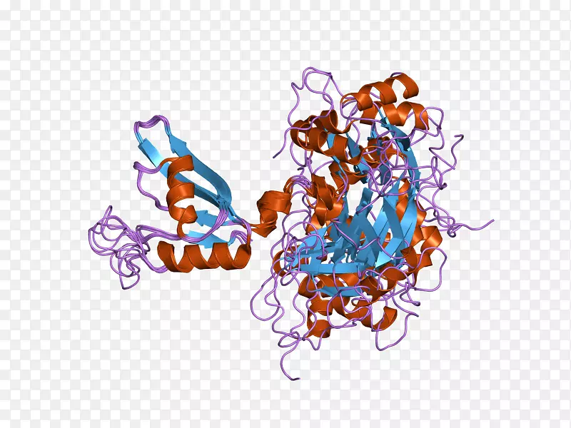 ͼ������������-������