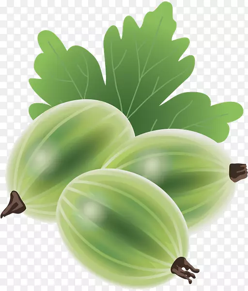 ����ʳƷˮ���߲�-������