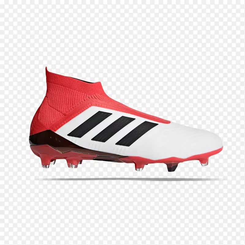 �����߰��ϴ�˹��ʳ��-������