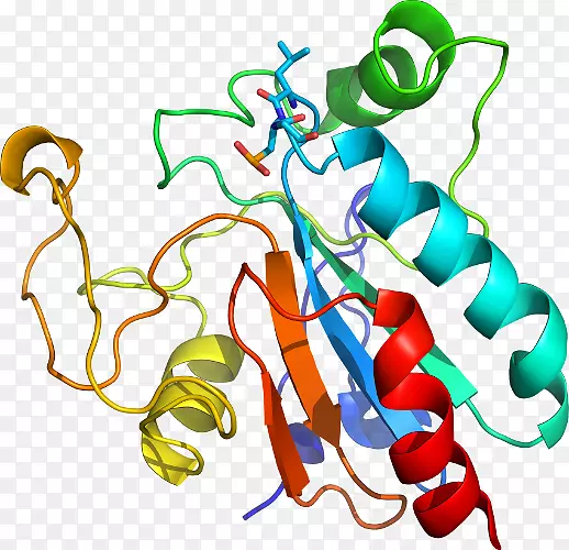 ���������л����߼�������-������