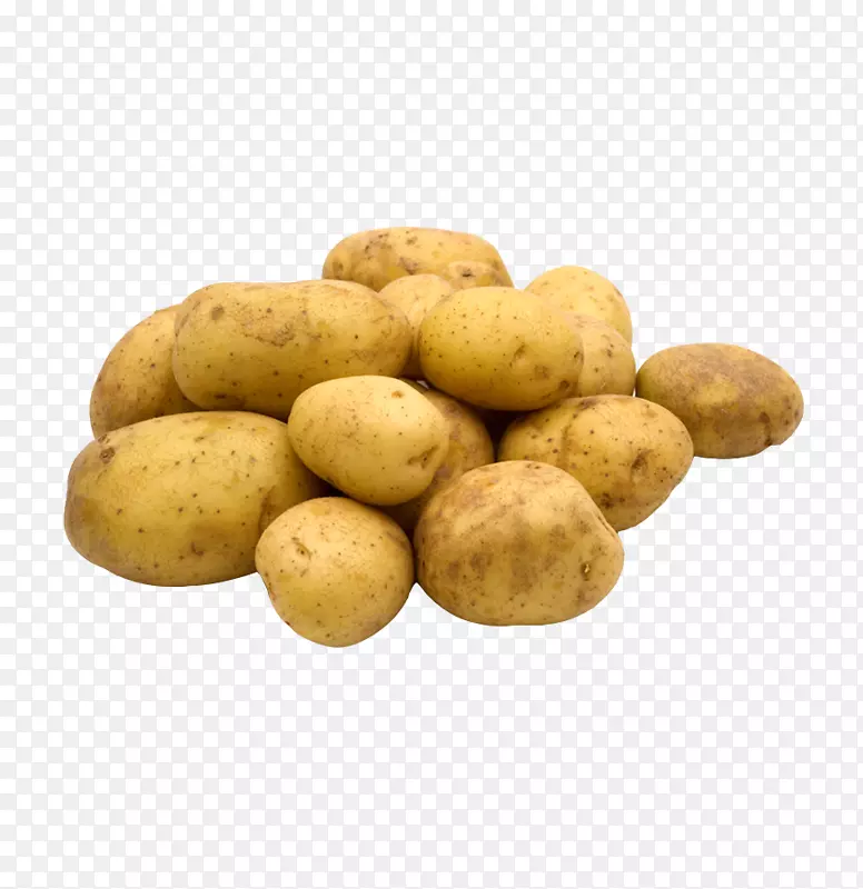 ³���ز�������ս��������Ⱞ�����������ǹ��߲�һ������-������