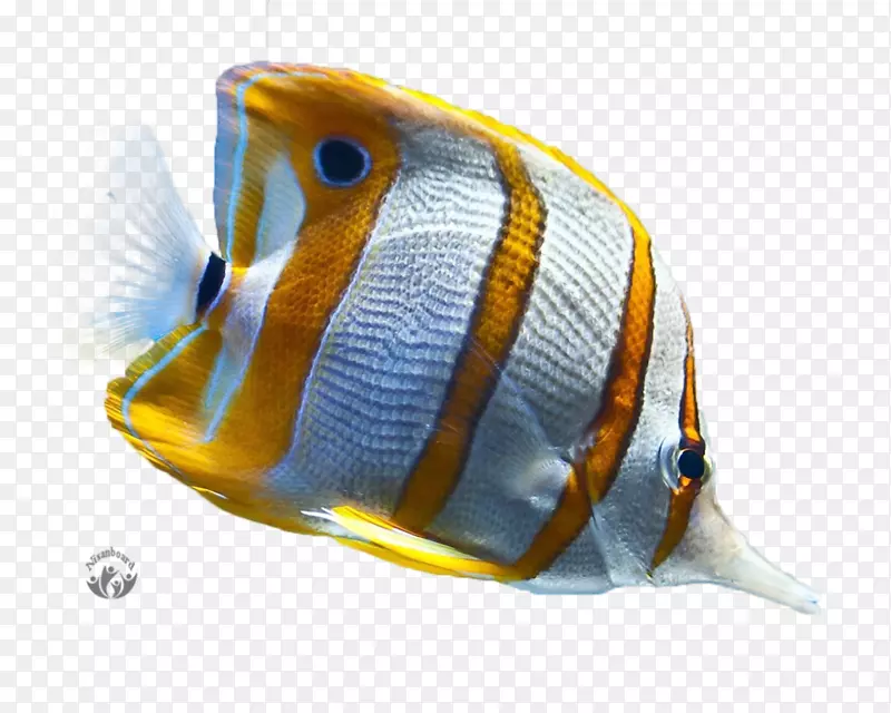 �����ֽ������ӿ���1080 p-android-������