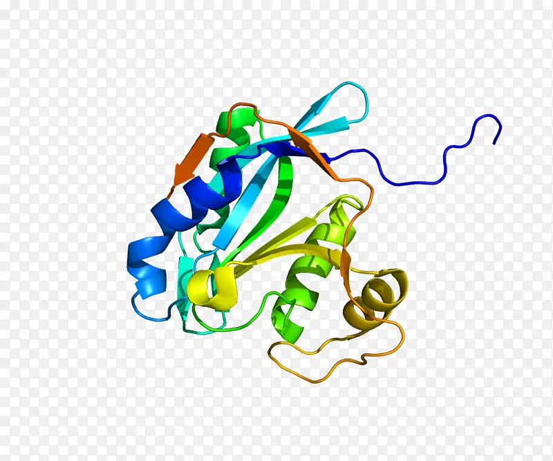 �ߵ������-��-������